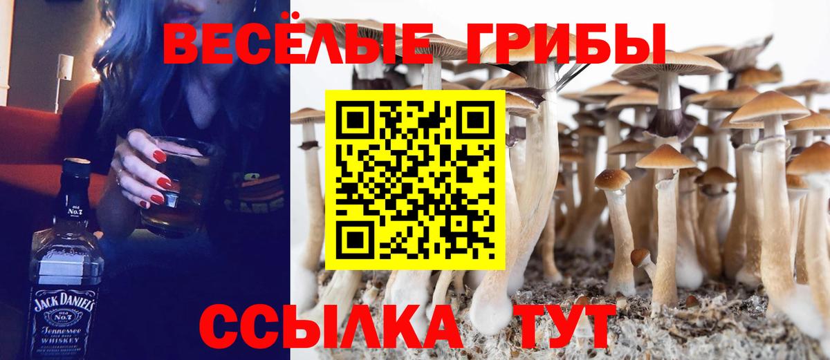 Советская Гавань  продажа наркотиков  Вход с VPN  Псилоцибиновые грибы мицелий  Галлюциногенные грибы Magic Shrooms 