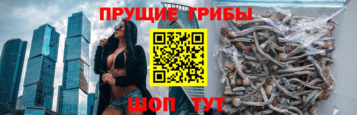 Галлюциногенные грибы Magic Shrooms Советская Гавань